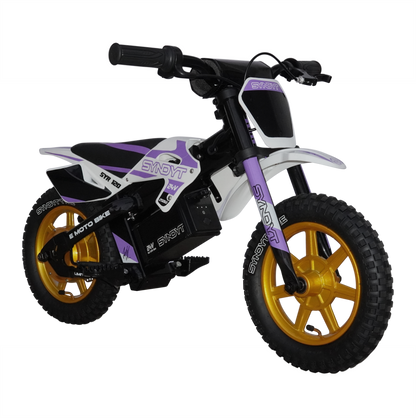 SYNDYT SYR 120 12" E-BMX  24 Volts. 10 AH. 250 Watts. 5, 8, 12mph