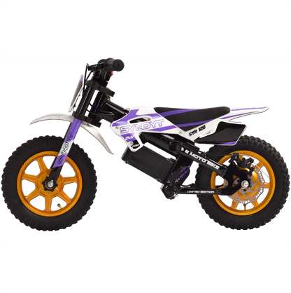 SYNDYT SYR 120 12" E-BMX  24 Volts. 10 AH. 250 Watts. 5, 8, 12mph
