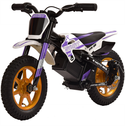 SYNDYT SYR 120 12" E-BMX  24 Volts. 10 AH. 250 Watts. 5, 8, 12mph