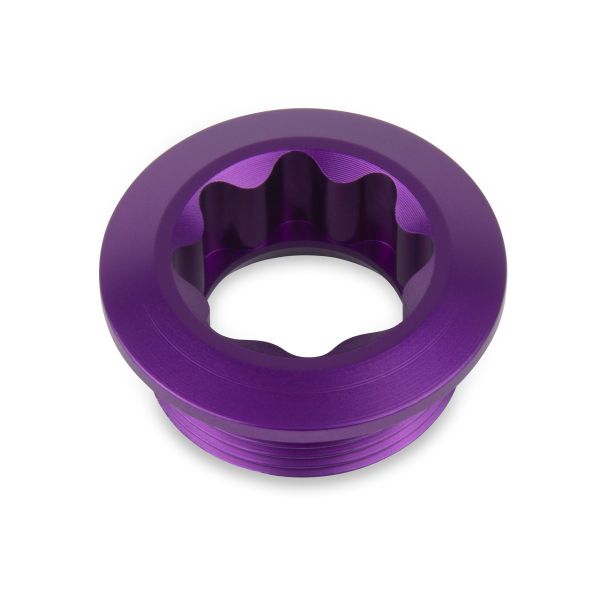 Insight Alloy Crank Bolt M20X10.7 - DXR